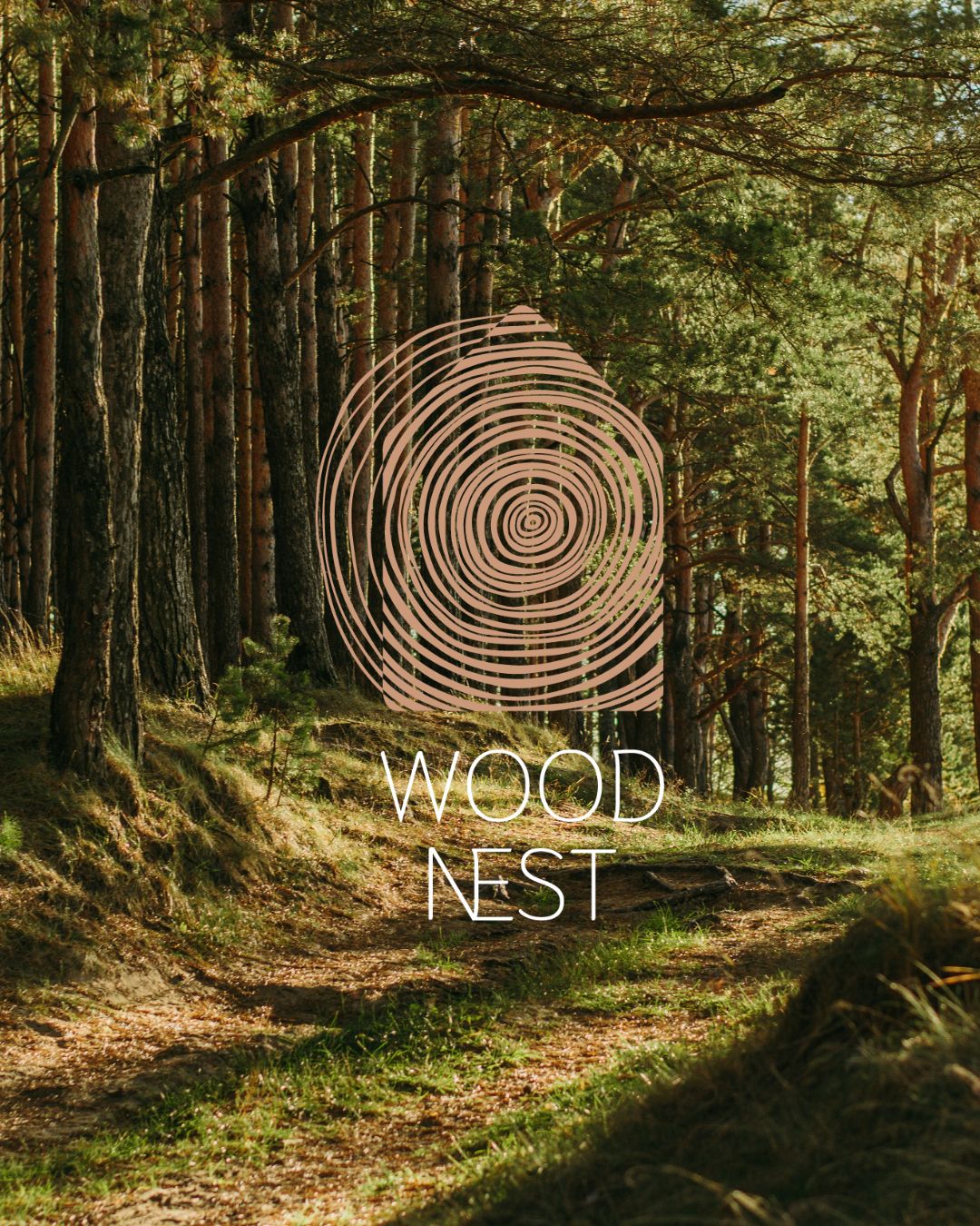 Woodnest Logo Design